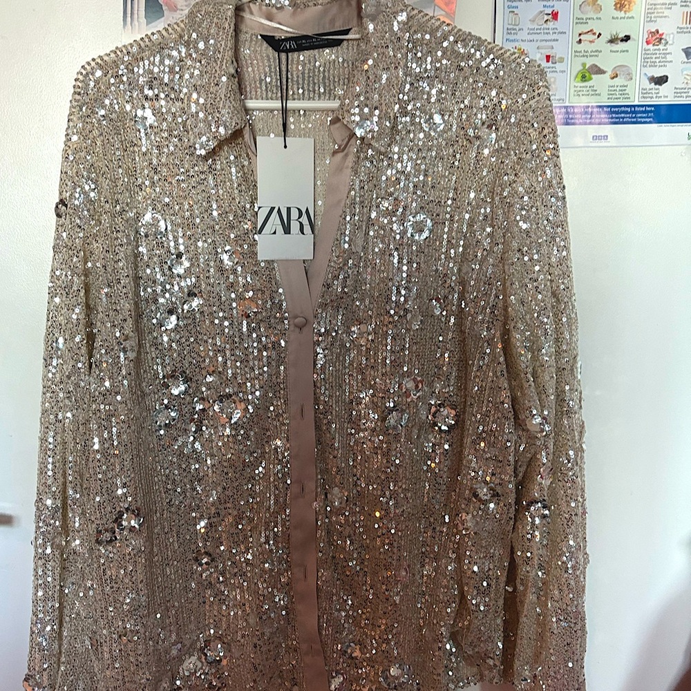 Zara Champagne Gold Sequin Button Down Top (Women)